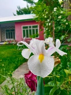 KD guest house - Drosh - 0