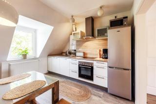 Silur - Münster - 5