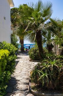 Piccolo hotel le Palme - 1