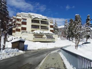 Mountain Loft - DuLac 33 - St. Moritz - 8
