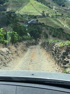 Quinta do Enxertado - Vila Real - 1