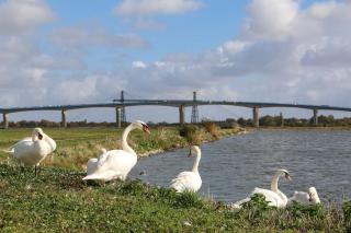Le Puyravault - Studio situé en plein centre-ville & proche des thermes - 6