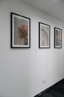 E&S Apartments 1 - Oberhausen - 7