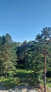 APARTMAN GREEN HILLS 20 - 8