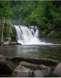 Peace By the Lake - Sevierville - 8