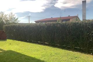 Amplio Chalet unifamiliar con jardín a 10 m playa - Baiona - 3