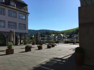 Mosel Ferienhaus Zell - Zell an der Mosel - 5