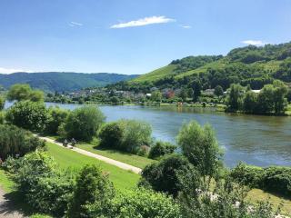 Ferienhaus Mosellage - Zell an der Mosel - 8