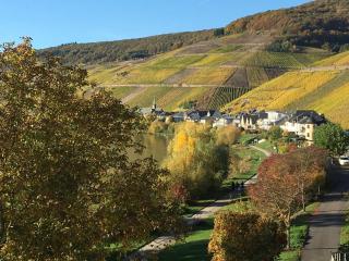 Ferienhaus Mosellage - Zell an der Mosel - 7