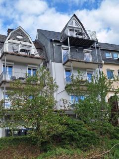 Ferienhaus Mosellage - Zell an der Mosel - 1