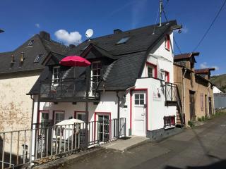 Mosel Ferienhaus Reblaus - Zell an der Mosel - 9