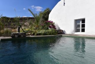 Donkey Farm Traditional Residence - Emporio Santorini - 9