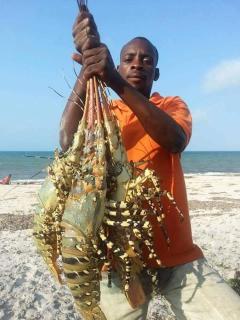 ABC guest house - Maputo - 9