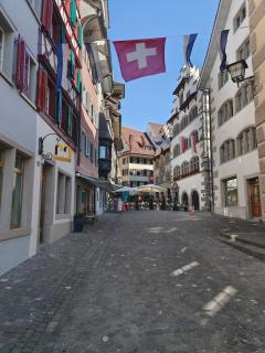 Cozy 1 room apartment in Zug - Zug - 5