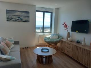 Grands appartements face au port - 7