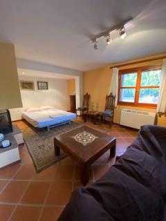 Spacious n comfortable Aloe Vera farm house - 5