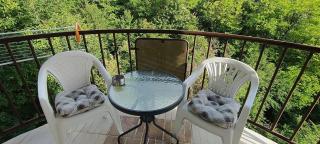 Studio Nena Lux - Sokobanja - 6