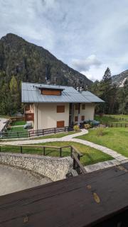 Appartamento immerso nel verde zona tranquilla - Auronzo di Cadore - 0