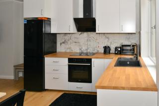 Esterville Apartments 1 and 2 bedrooms hot tub availability - Belfast - 4