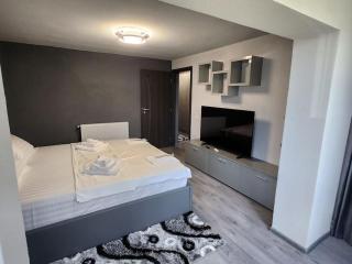 Apartament Iulius 3 camere - Curtea de Argeş - 9