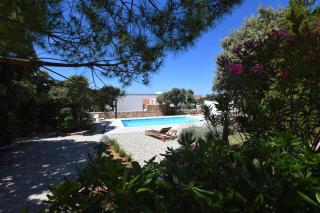 Ferienwohnung für 5 Personen ca 75 qm in Mandre, Dalmatien Inseln vor Zadar - Mandre - 7