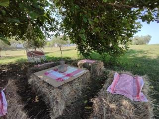 Bukuria e Fjerinës - 5