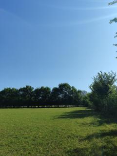 Bukuria e Fjerinës - 1