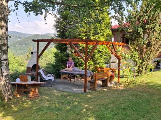 Willa Panorama SPA - Ustroń - 1