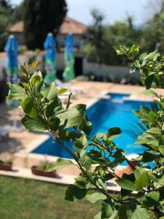 Villa Iva - Sunny Beach - 0