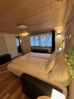 Mountain Homes - Bönigen - 0