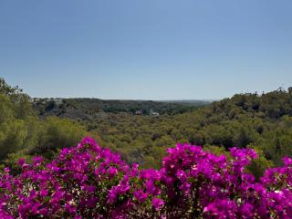 Orihuela - Las Ramblas - Casa Pino - Orihuela Costa - 2