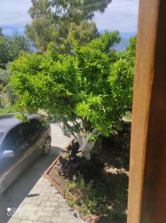 Portokallja Guest House Radhime - Vlorë - 2