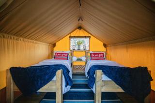 Roaring River Luxury Adventure Tent #13 - Cassville - 8