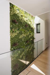 Azure Homes - 3