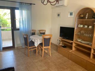 Apartment Ivanka - Mandre - Mandre - 8
