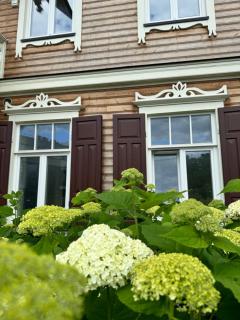 Vilnius Green Oasis Stylish & Fully Equipped Stay - Vilnius - 9