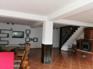 Casa Emiral Voroneț - Voroneţ - 1