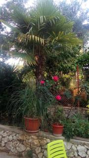 Mediterranean house near the sea - Trogir - 6