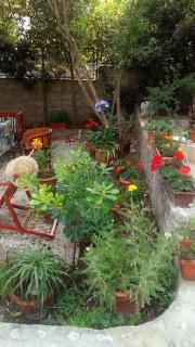 Mediterranean house near the sea - Trogir - 1