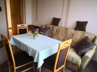 Cosy holiday home - Pets welcome - Schleusingen - 8