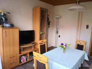 Cosy holiday home - Pets welcome - Schleusingen - 9