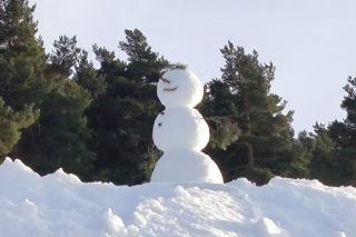 little wooden cabin - 8