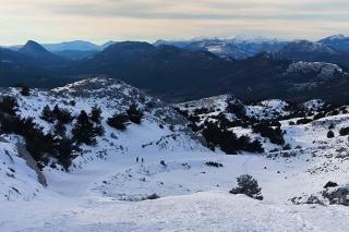 little wooden cabin - 1