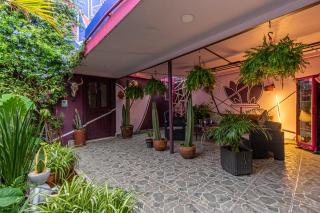 Casa Maguey - Città del Messico - 7