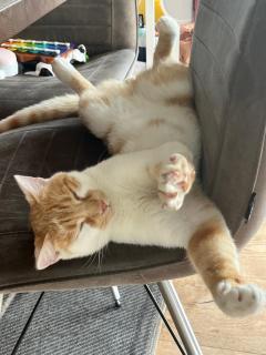 Bauernhof Unterbichl - 3