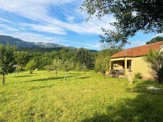 Green Cottage - Podgorica - 8