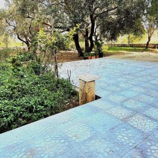 Minted Rose Guest House - 6