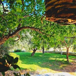 Minted Rose Guest House - 5