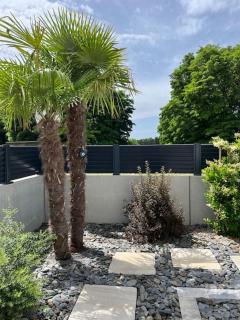 Villa de l'Elbe proche Europapark en Alsace - 8