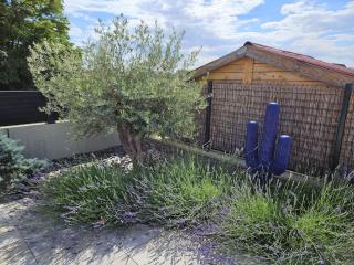 Villa de l'Elbe proche Europapark en Alsace - 1